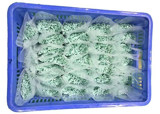 REACH Slight Green 120 Degree 2.5mm Nylon Cable Ties